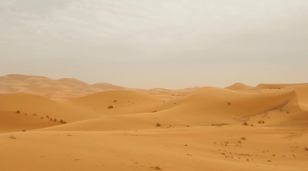 Merzouga 2