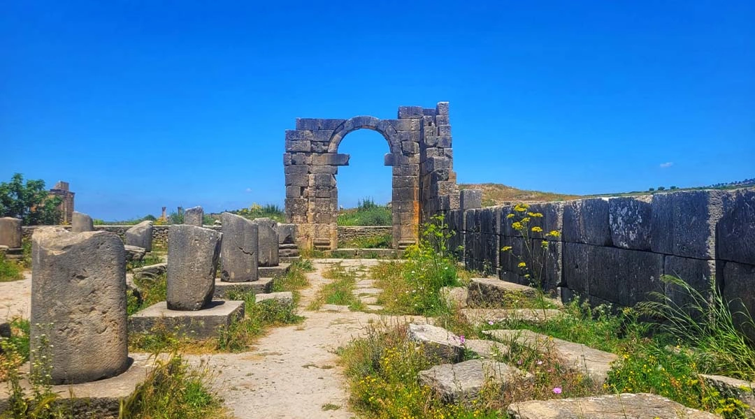Volubilis 2