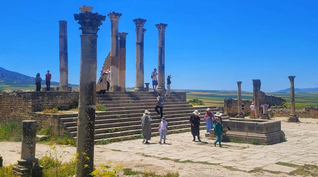 Volubilis 3