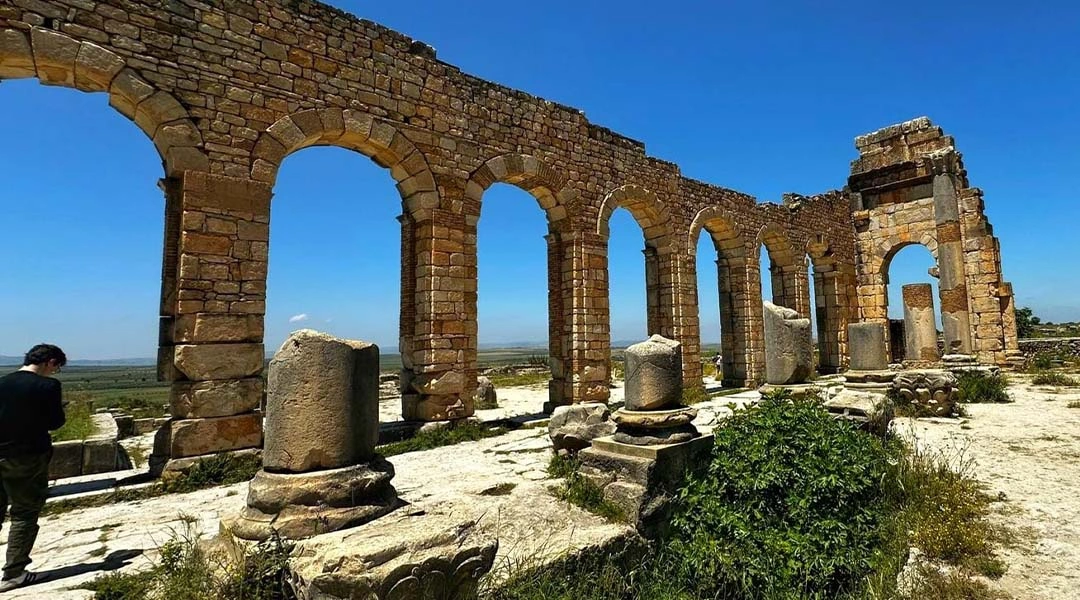 Volubilis 4